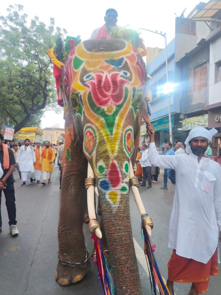 रथयात्रा में बेकाबू हुआ नर हाथी, बड़ी अनहोनी टली