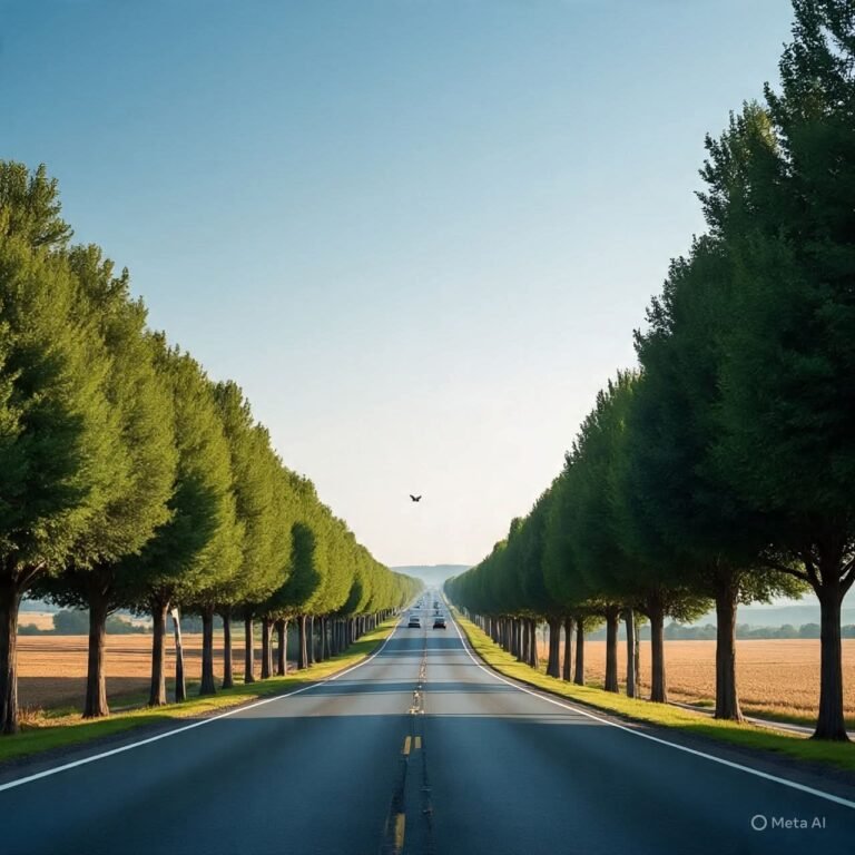 सड़क हादसे में घायल का इलाज करने से कोई अस्पताल नहीं कर सकेगा इनकार