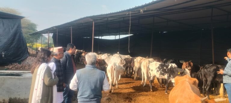 राज्य मंत्री ने किया गौशालाओं का औचक निरीक्षण, अव्यवस्थाओं पर जताई कड़ी नाराजगी