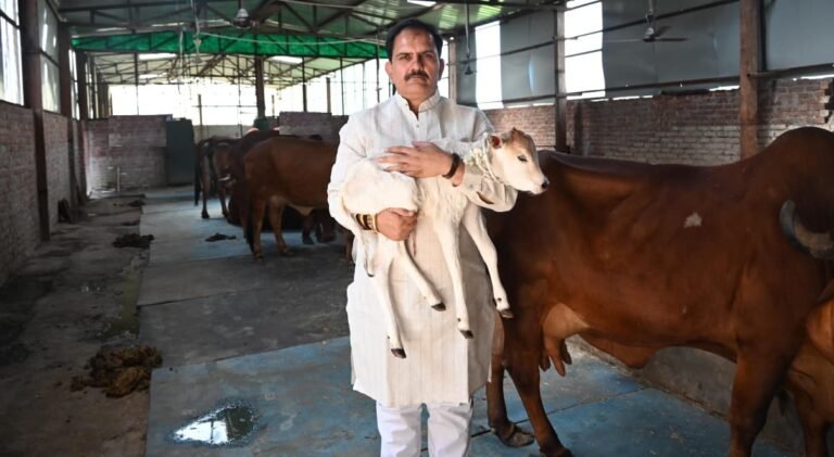गौ-सेवा के जरिए पशु संरक्षण का संदेश, जिला पंचायत अध्यक्ष की पहल बनी मिसाल
