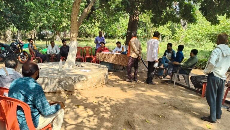 उद्यानिकी विभाग की नर्सरियों में आम फल बहार की नीलामी से लाखों की आय